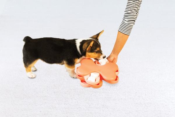 Nina Ottosson Puppy Tornado Nina Ottosson Puppy Tornado